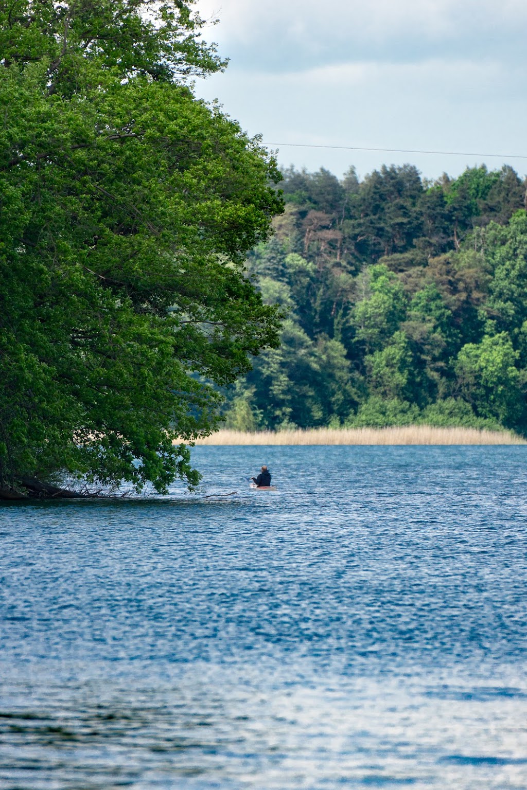 Bild von Straussee