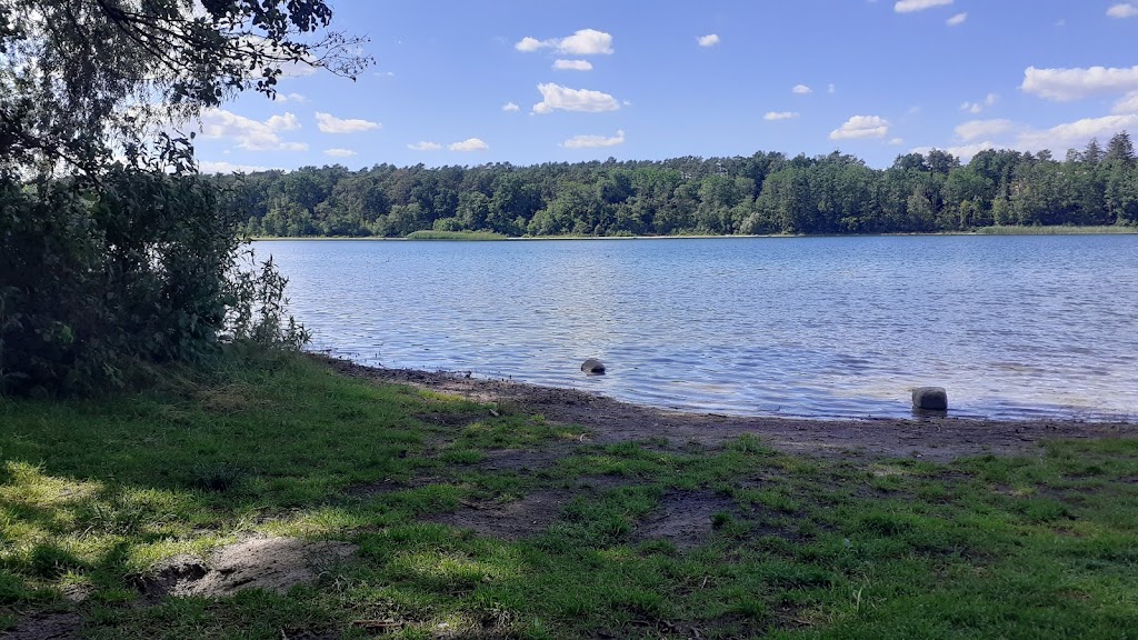Bild von Liegewiese Straussee
