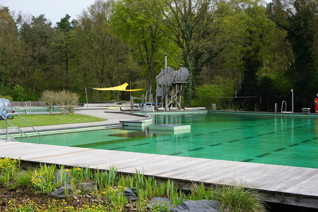 Bild von NaturWaldBad Steimbke - Freibad