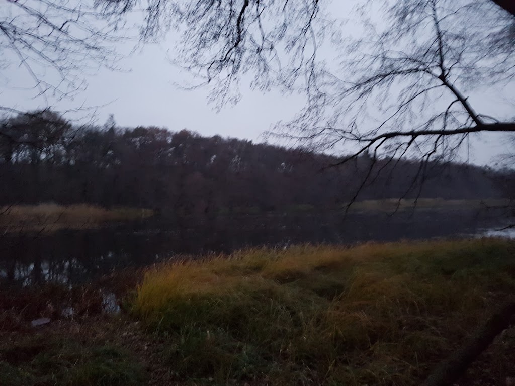 Bild von Waldstrand am Wolzensee