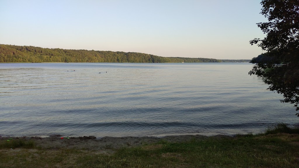Bild von Liegewiese