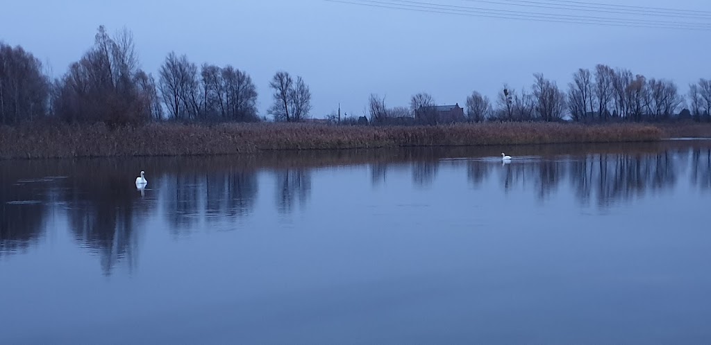 Bild von Kieskuhle Vierraden