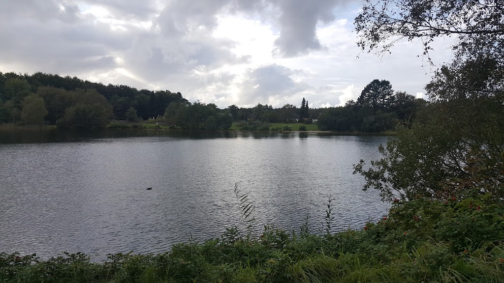 Bild von Hallen- und Freibad Hage/ Berum