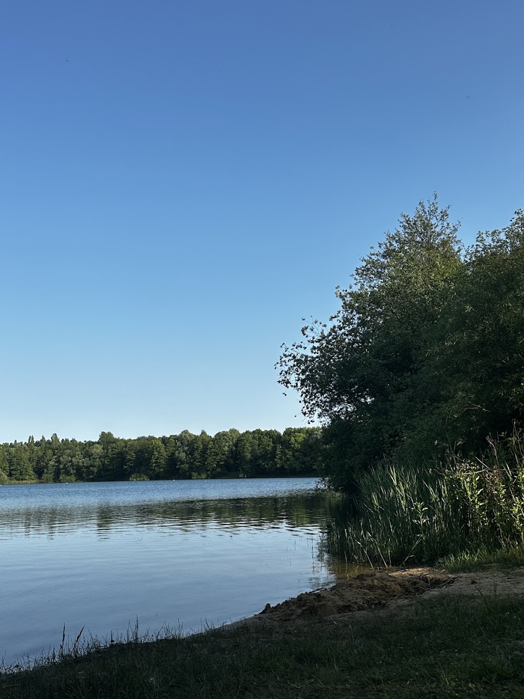 Bild von Kostenloses Freibad DLRG