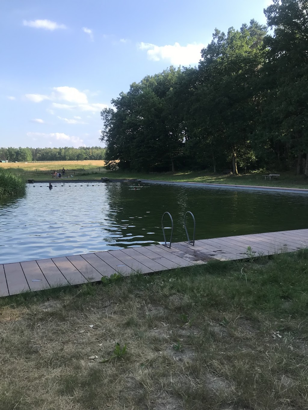 Bild von Westergellersen Waldbad