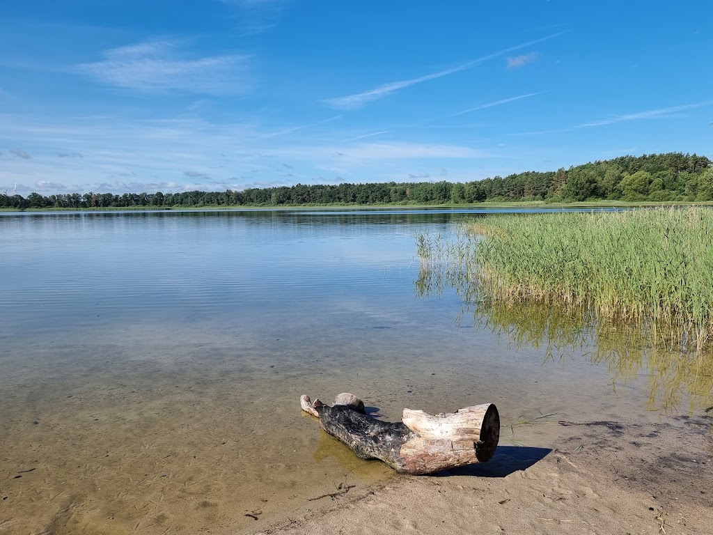 Bild von Badestrand Treptowsee