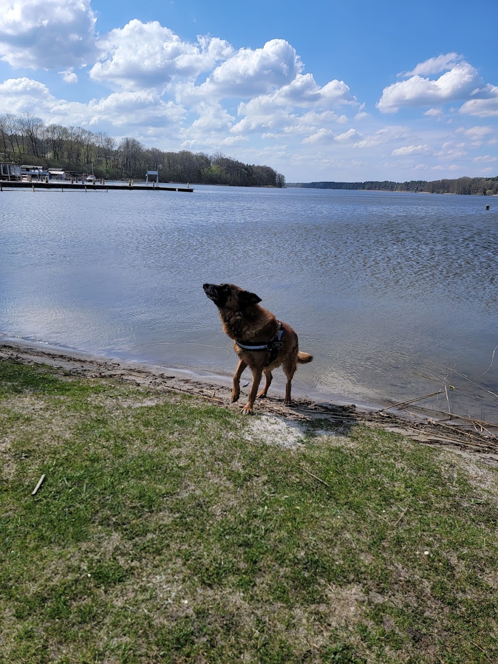 Bild von Badestelle am Röddelinsee