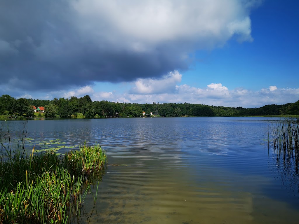 Bild von Badestelle Großer Prälanksee