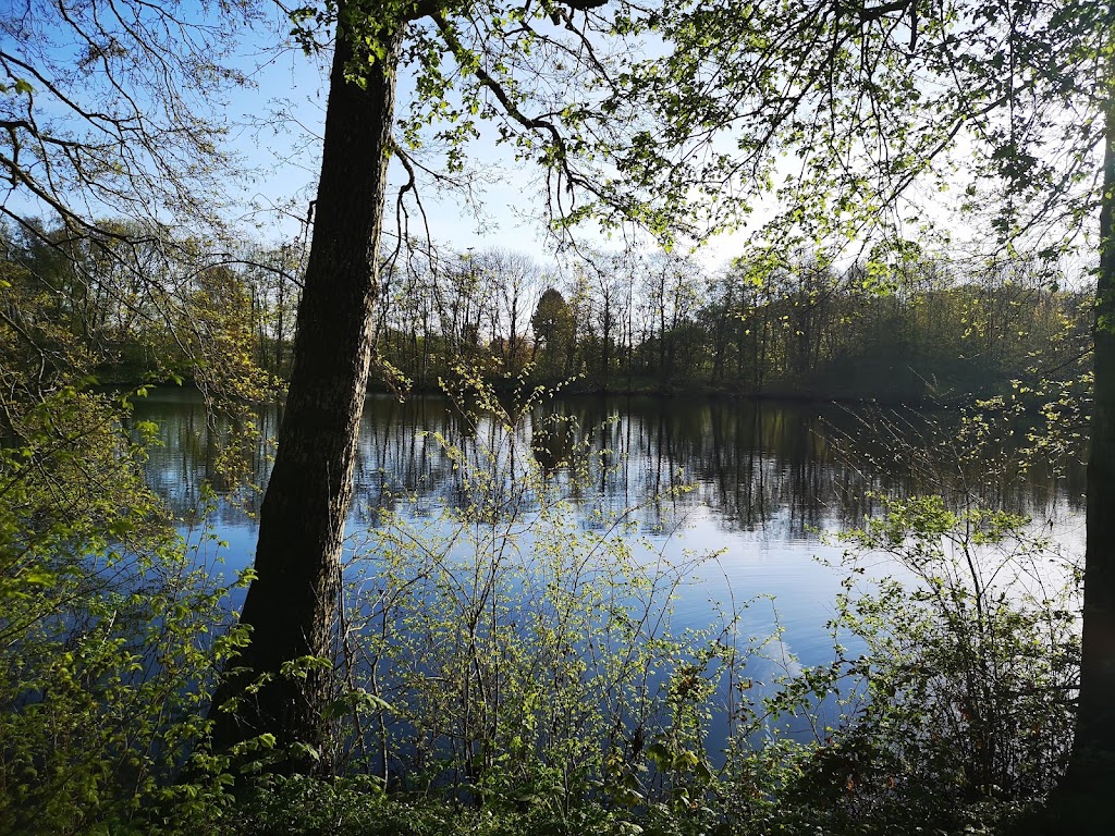 Bild von Frisia Bad Norden