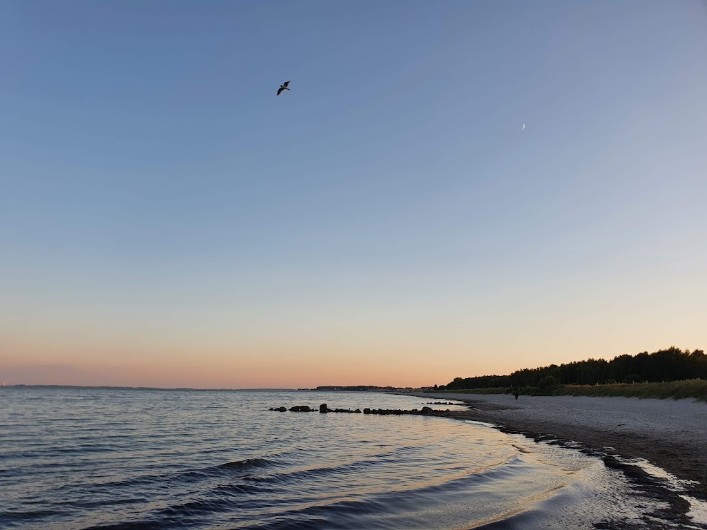 Bild von Naturstrand Lenste