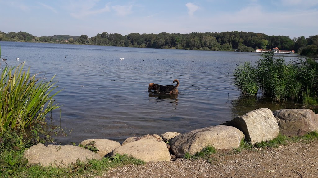 Bild von Kirsten-Bruhn-Bad / Eutin