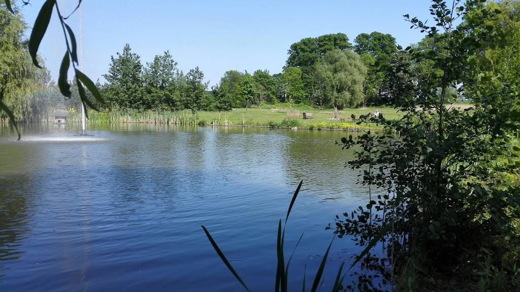 Bild von Hotel-Freibad