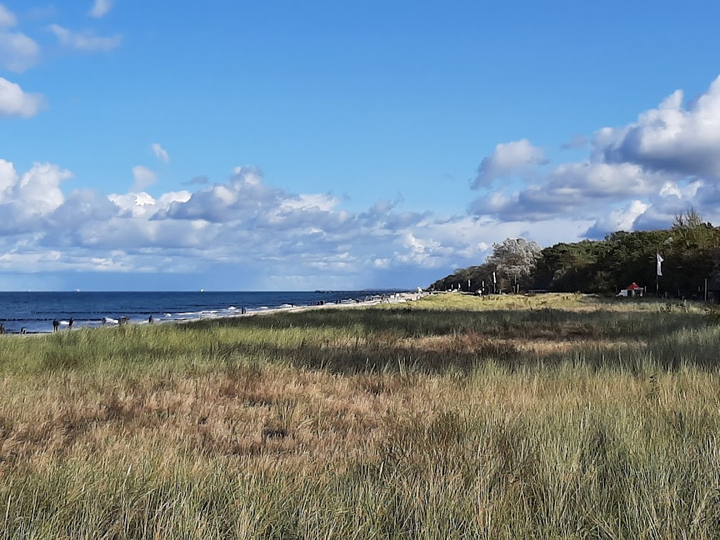 Bild von Ostseebad Kühlungsborn