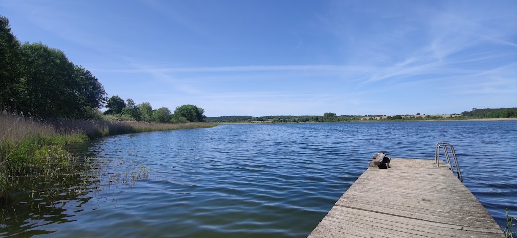 Bild von Badesteg am Lohmer See