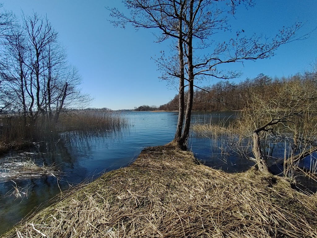 Bild von Badestelle am Inselsee