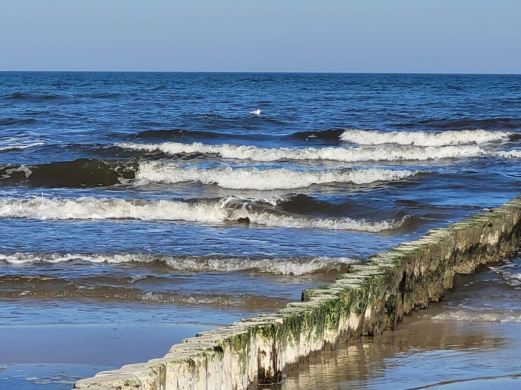 Bild von Strand Kölpinsee