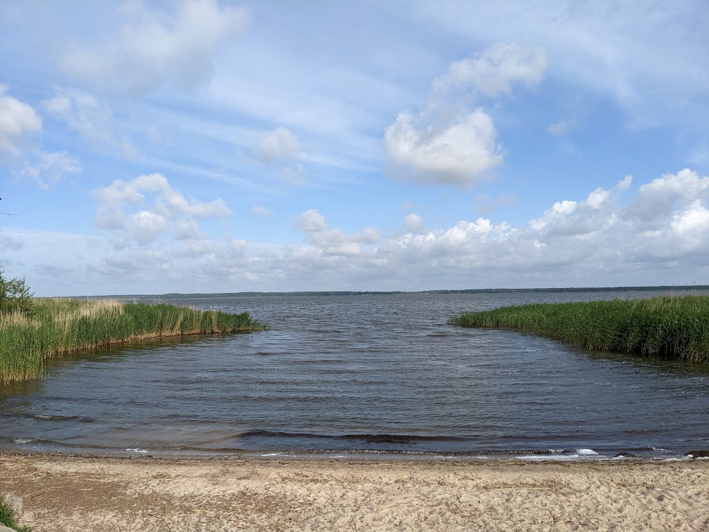 Bild von Badestelle Peenestrom Usedom