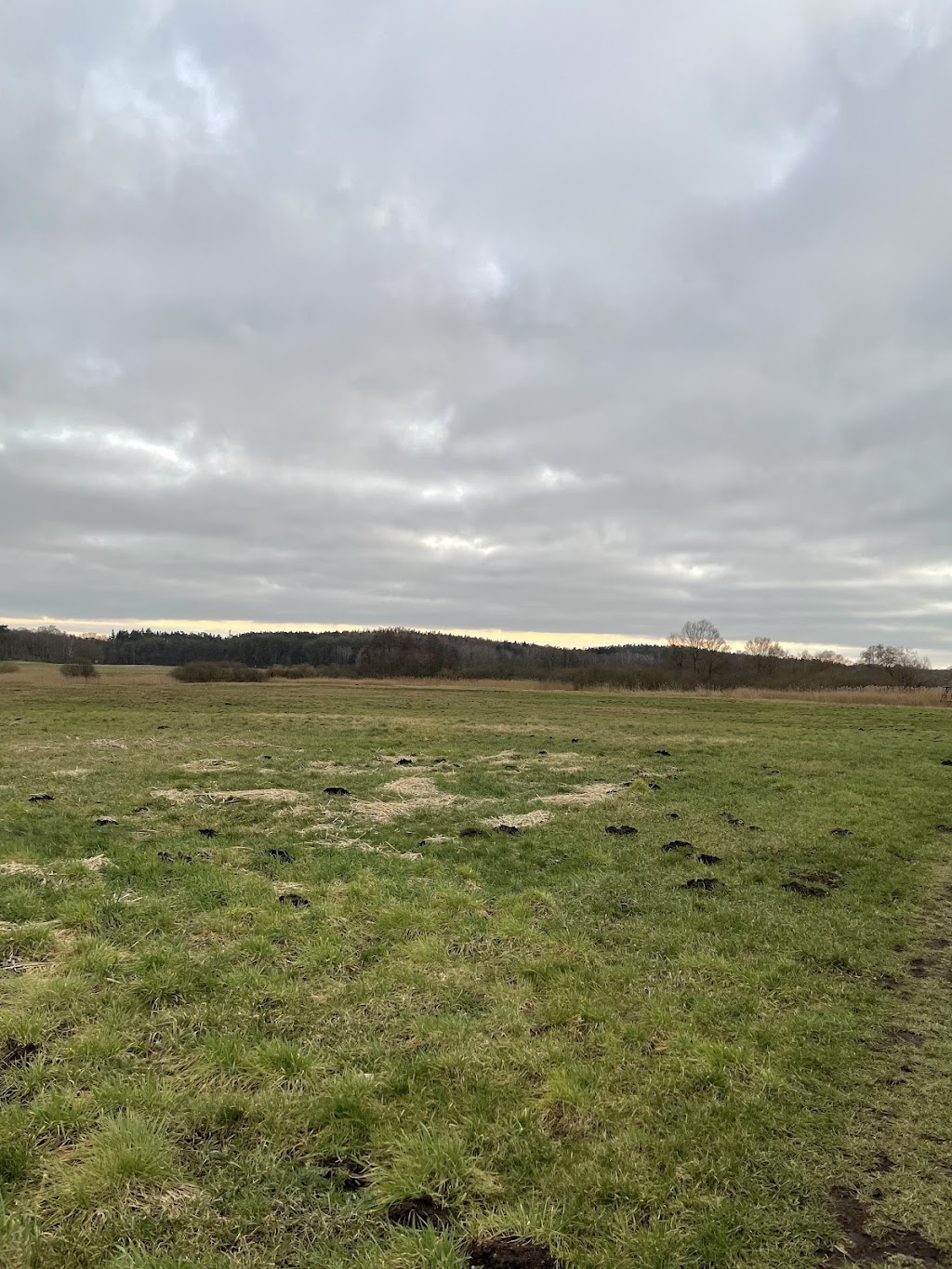 Bild von Parkplatz an der Tessiner Südsee