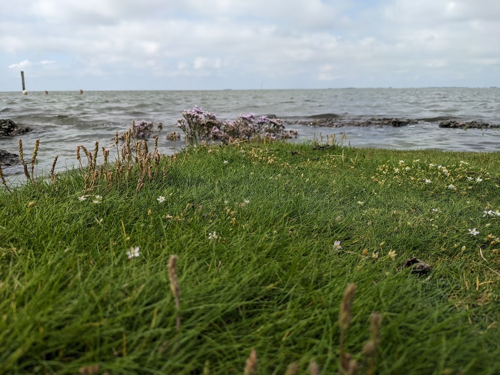 Bild von Badestrand Tetenbüll