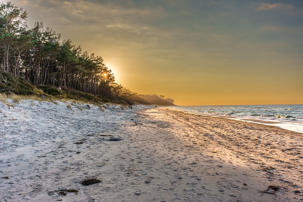 Bild von Strand Nonnevitz