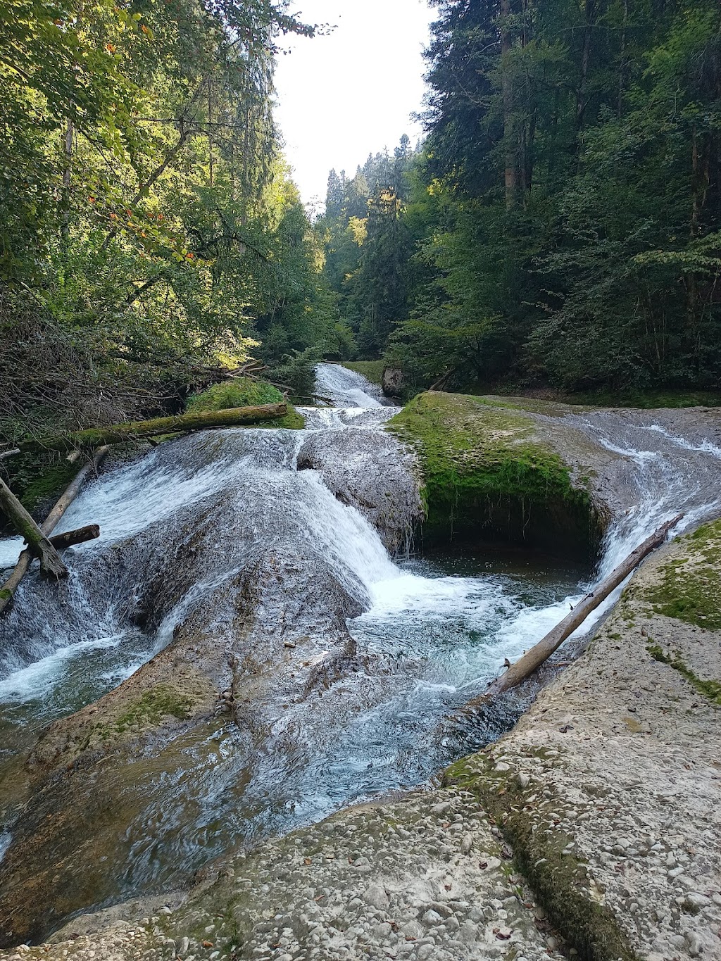 Bild von Swimmingpool