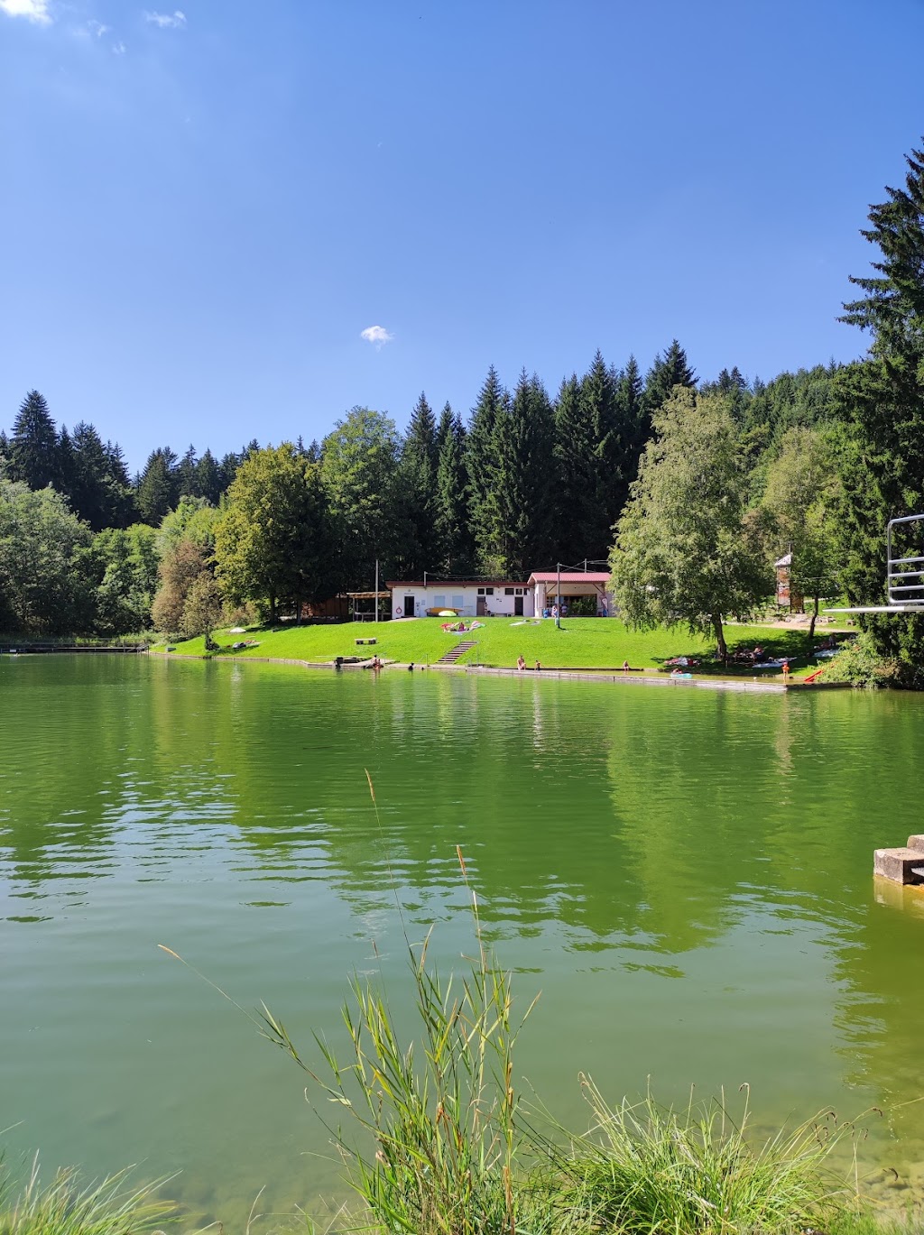 Bild von Naturfreibad Hagenmoos (Waldbad)