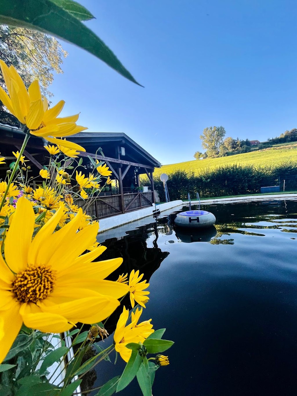 Bild von Bärenloh