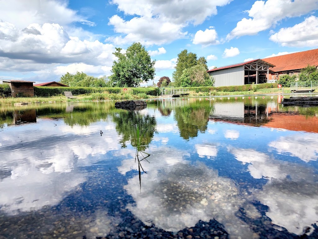 Bild von Badestelle Ellmannsweiler