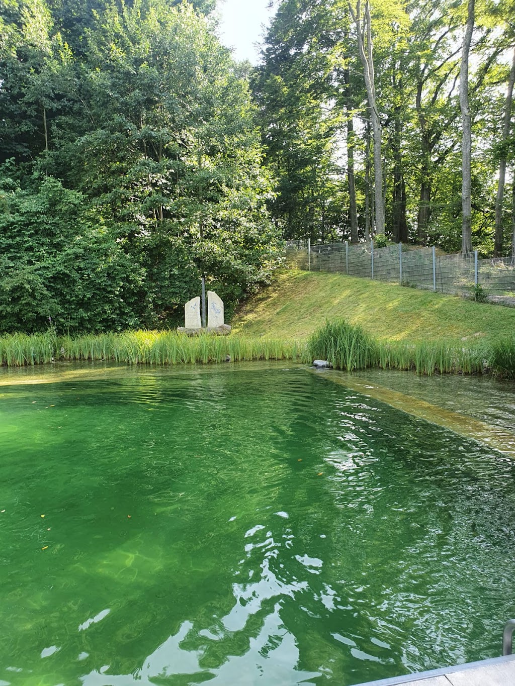 Bild von Natur-Therme Bedernau