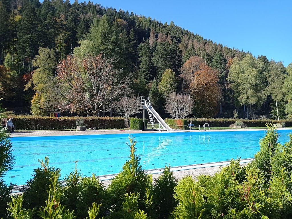 Bild von Waldfreibad Calmbach
