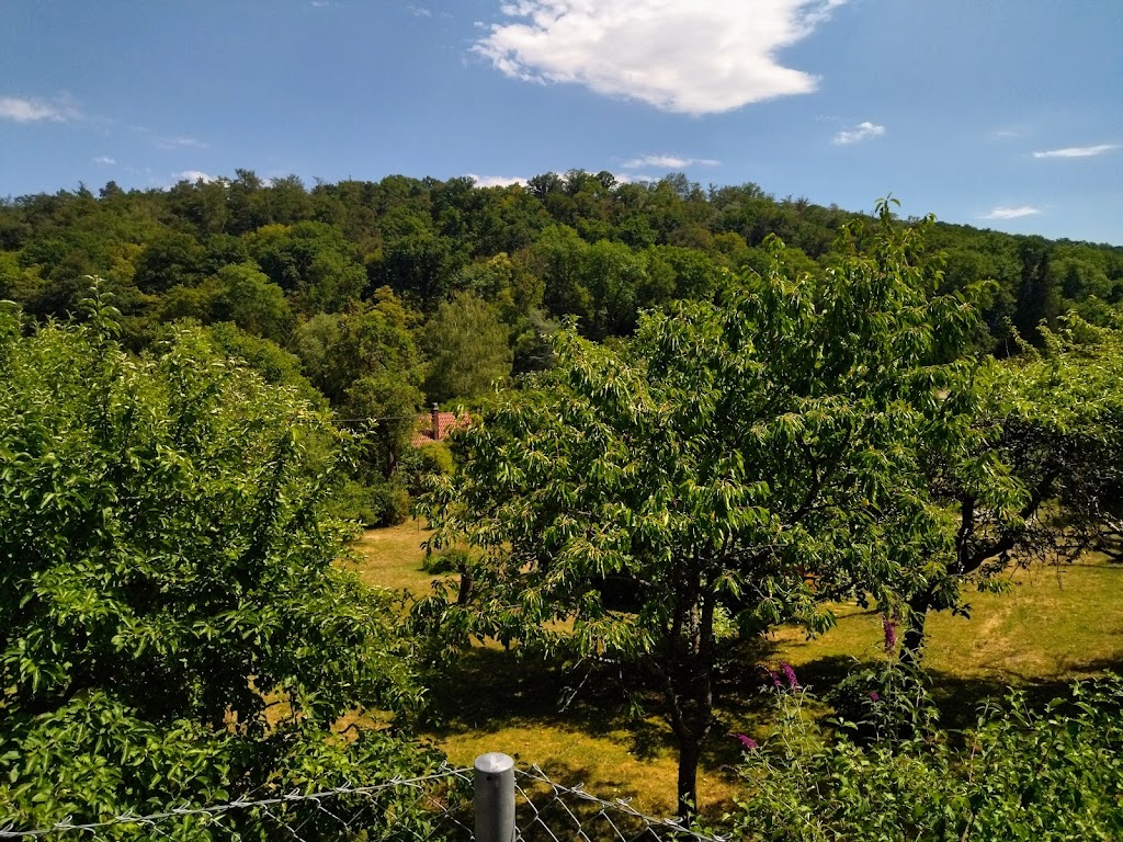Bild von Freibad ASV Botnang