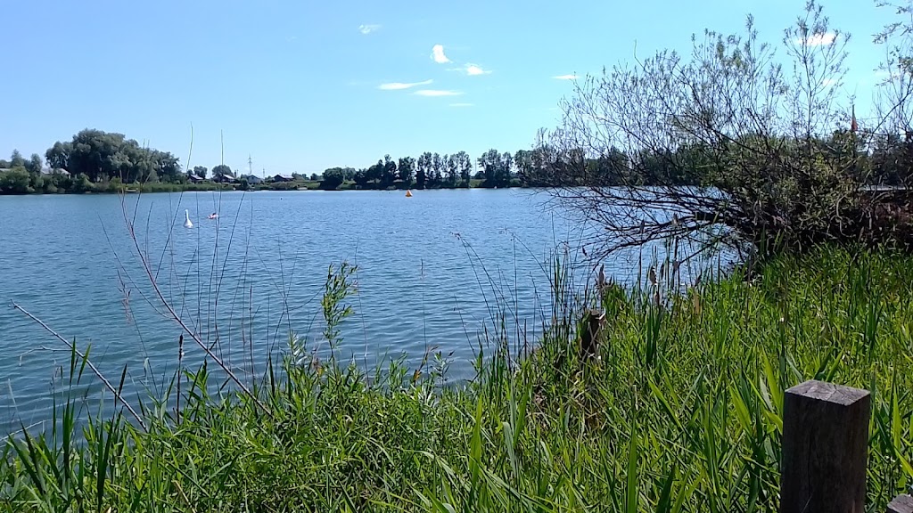 Bild von Badestelle Erbach