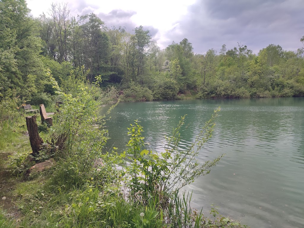 Bild von Filzinger See