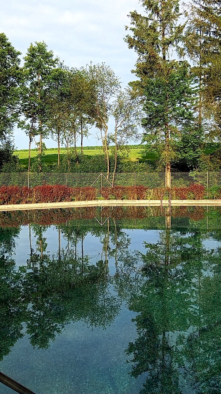 Bild von Schwimmbad Ulbering
