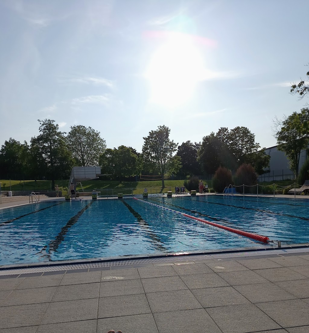 Bild von Rebmeerbad Bad Bergzabern