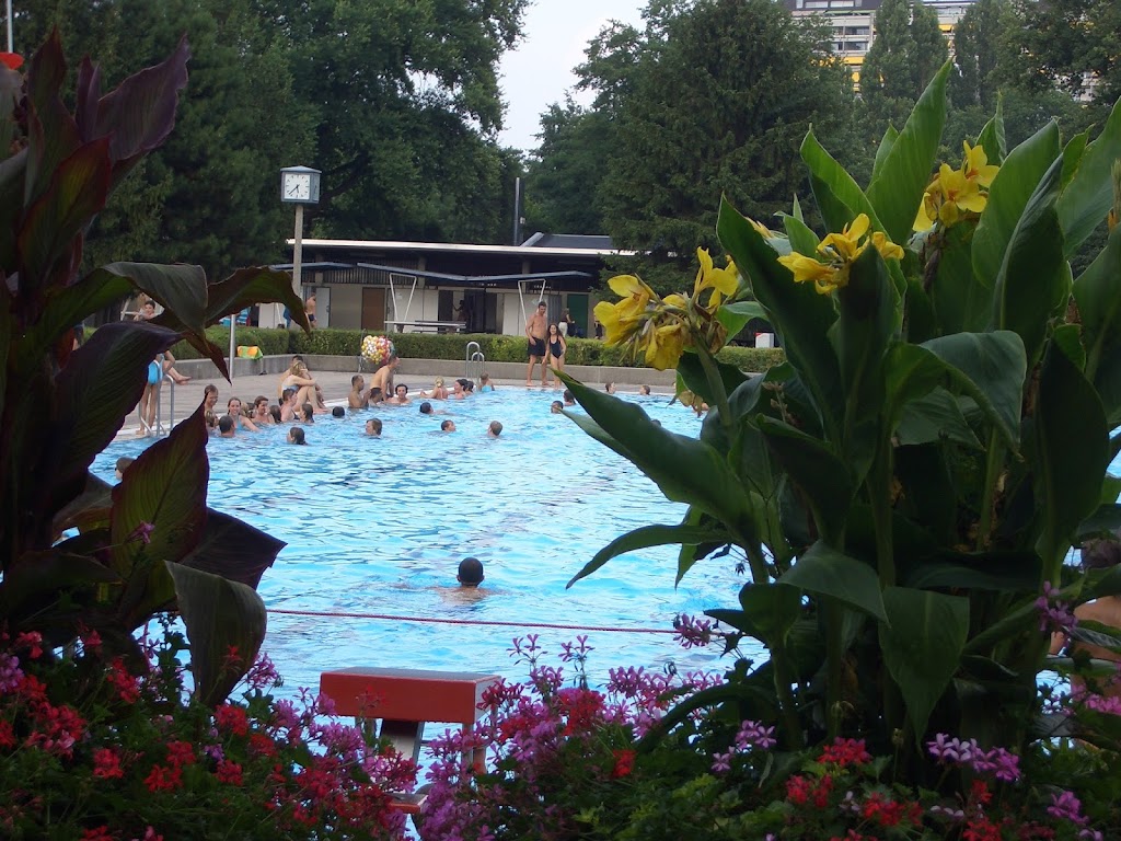 Bild von Freibad Rüppurr