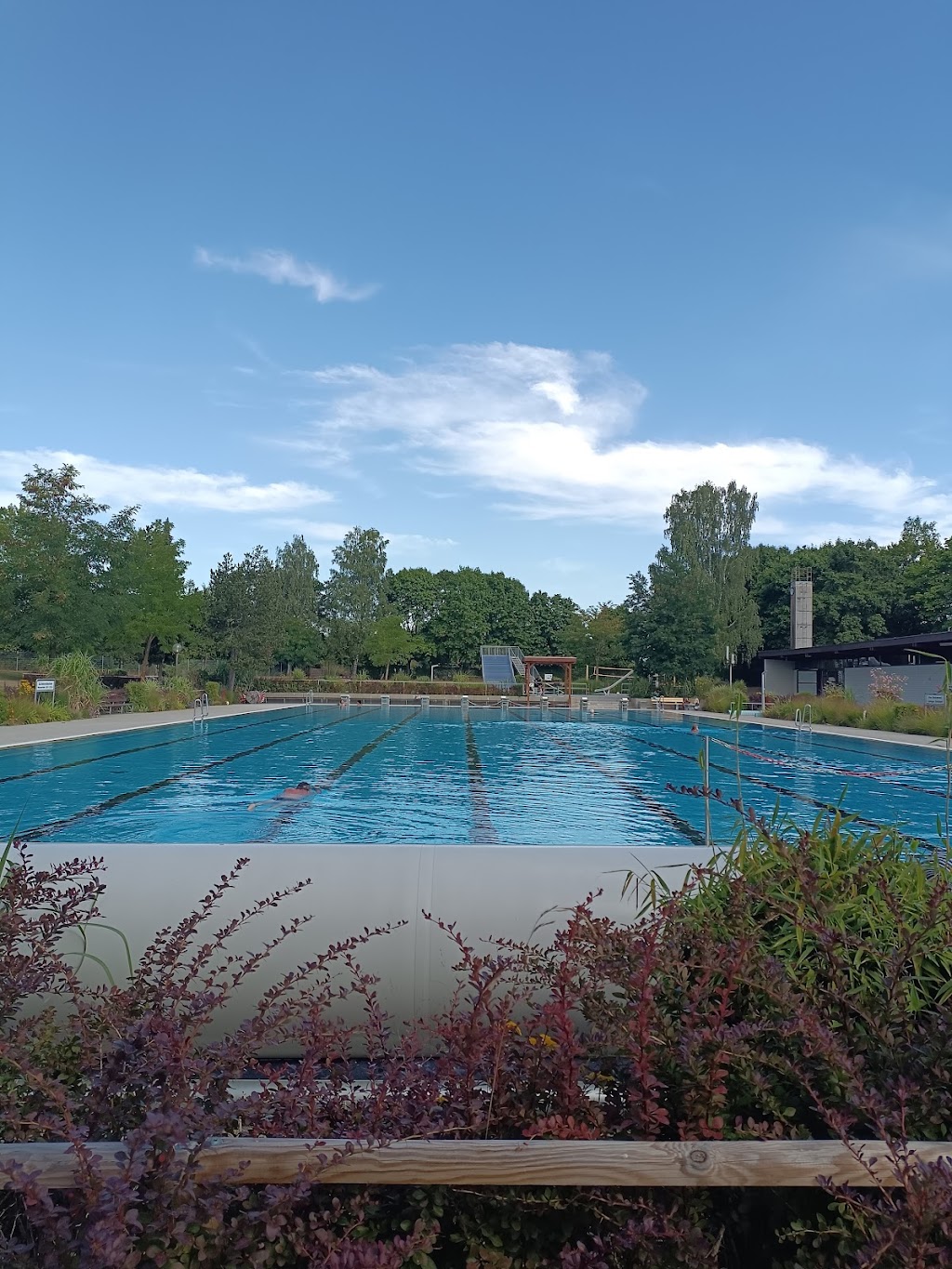 Bild von Natur- und Solarfreibad "Zum Schleifweiher" - Stadt Feuchtwangen