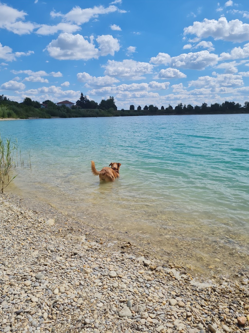 Bild von Stauffendorfer Weiher