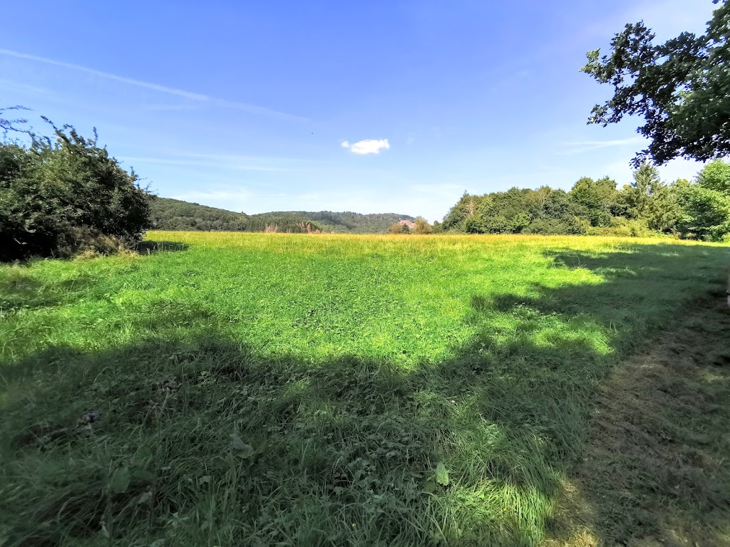 Bild von Weiselbergbad