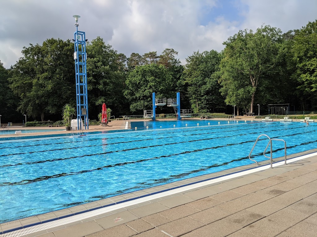 Bild von Waldfreibad Rodenbach
