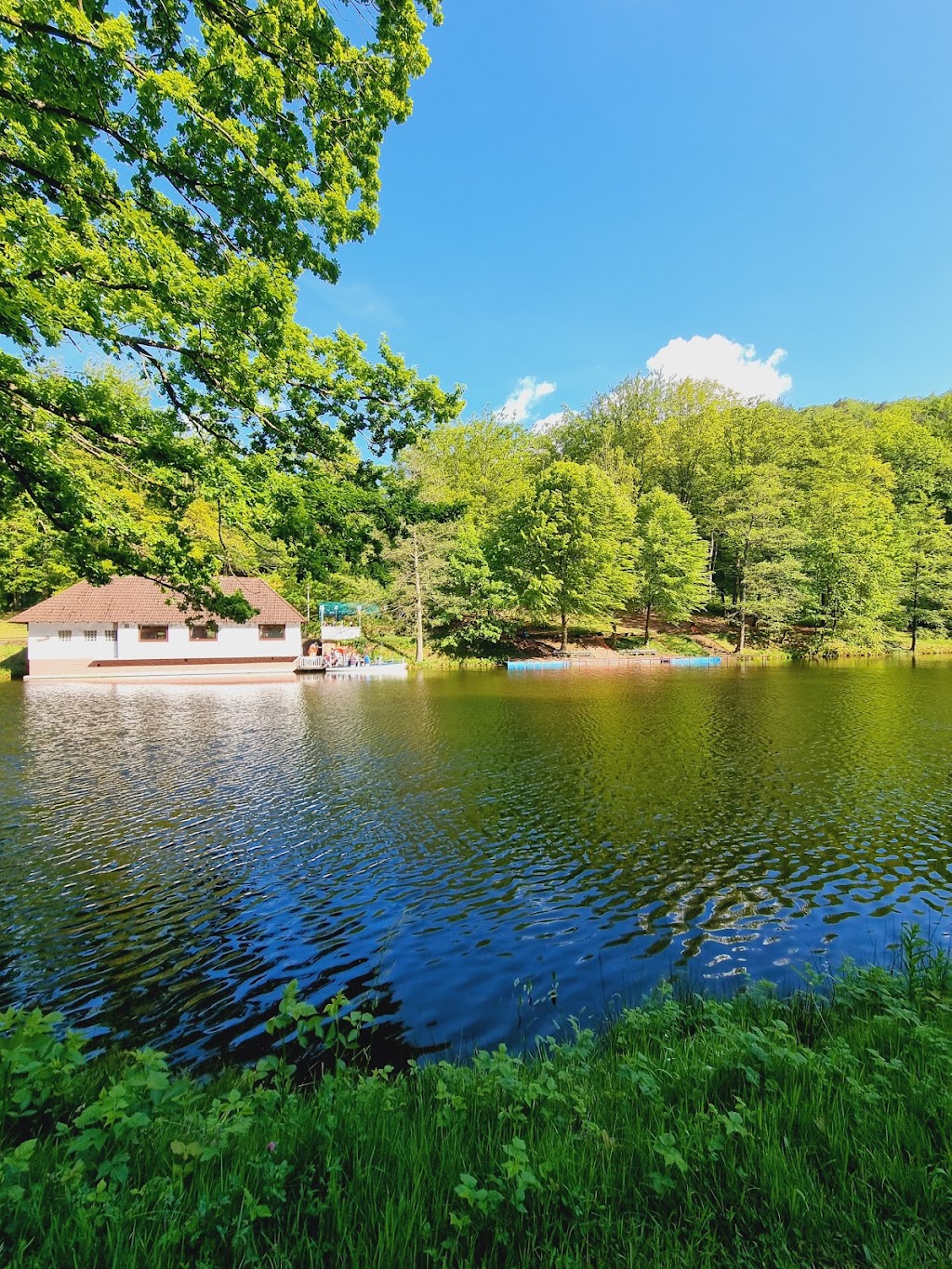Bild von Bärenlochweiher