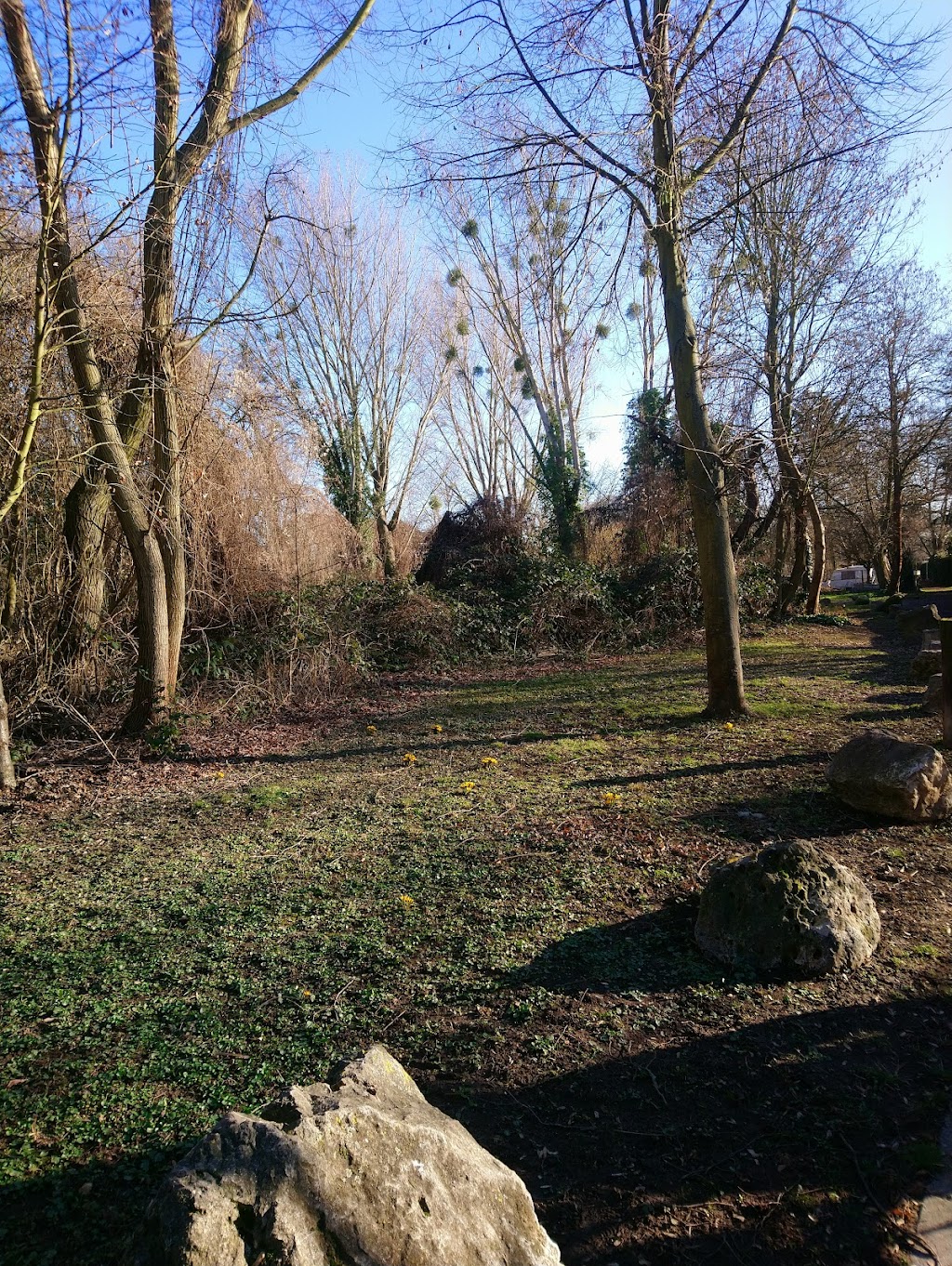 Bild von Stollenwörthweiher
