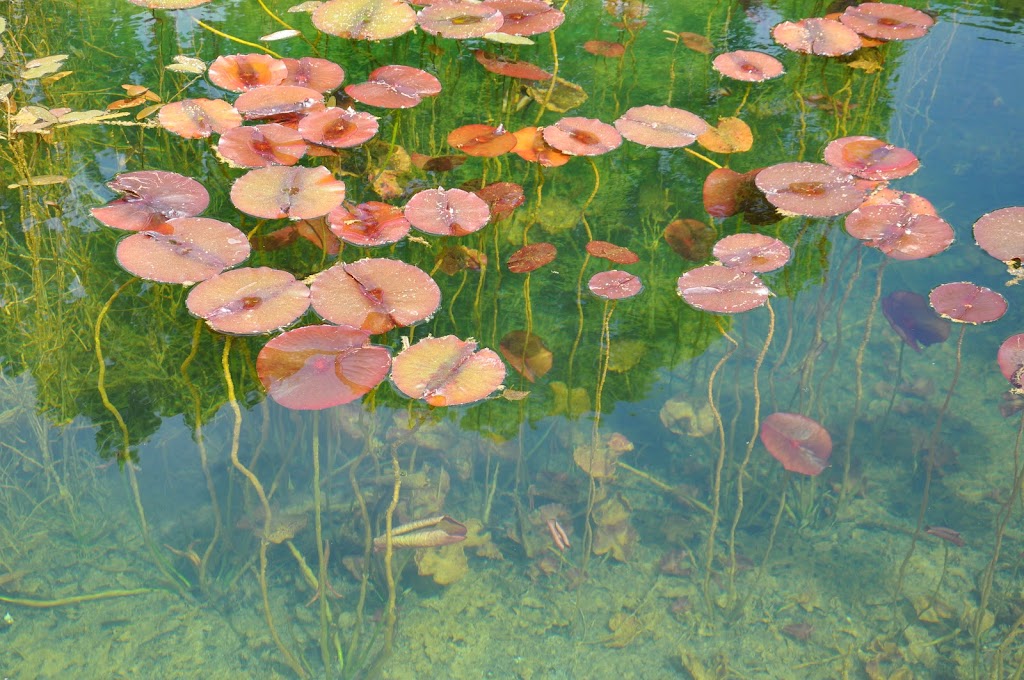 Bild von Badeort Weißenbrunn