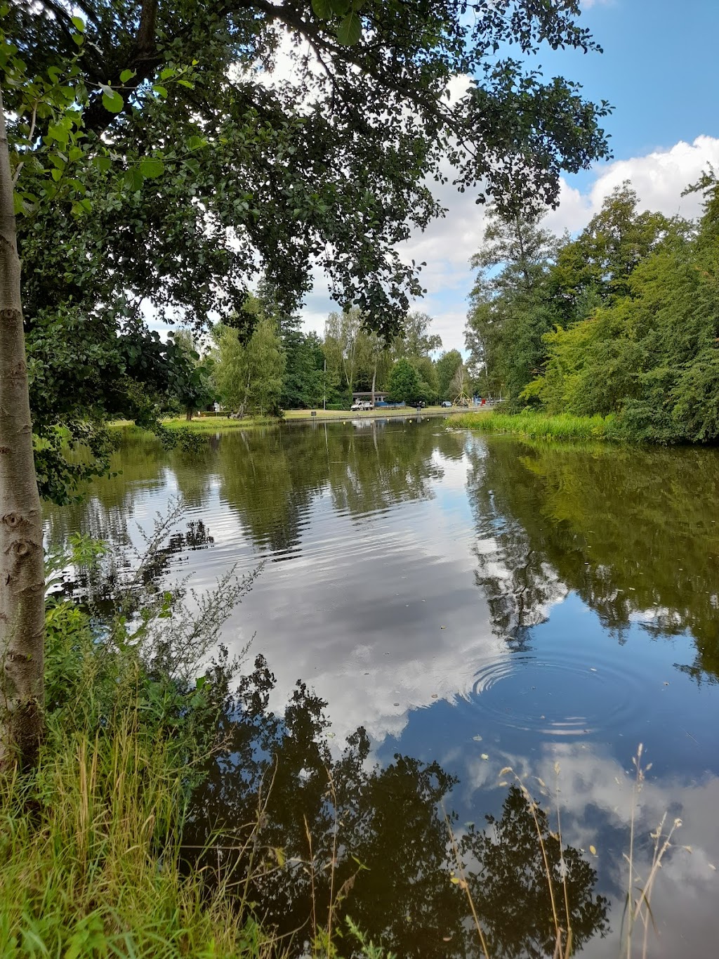 Bild von Stadtbad Weiden