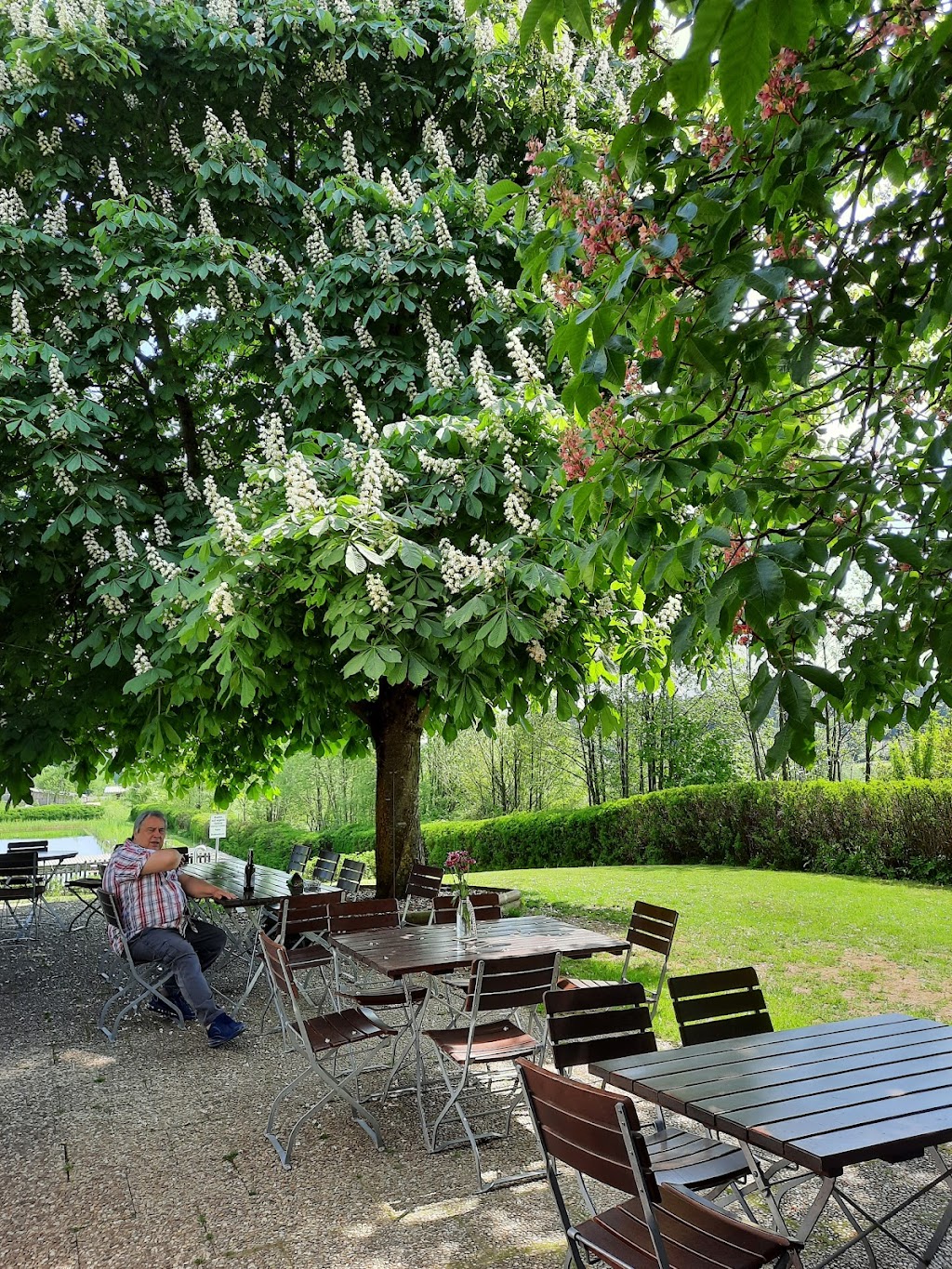 Bild von Waldbad Tiefenbach