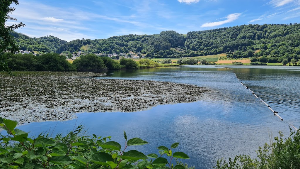 Bild von Naturfreibad Meerfelder Maar (normalerweise kostenpflichtig
