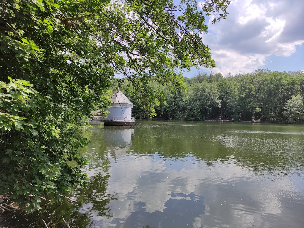 Bild von Liegewiese Itzenplitzerweiher