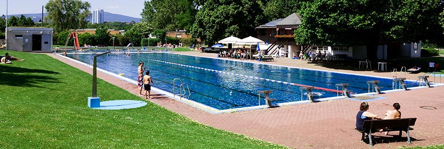 Bild von Höchster Schwimmverein 1893 e.V.