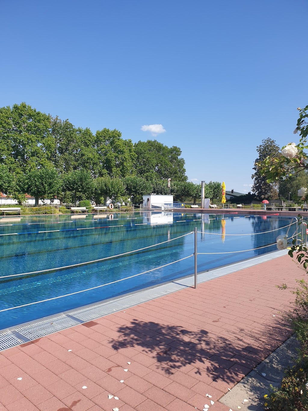 Bild von Freibad Seeheim-Jugenheim