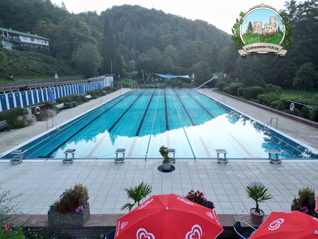 Bild von Waldschwimmbad Schriesheim